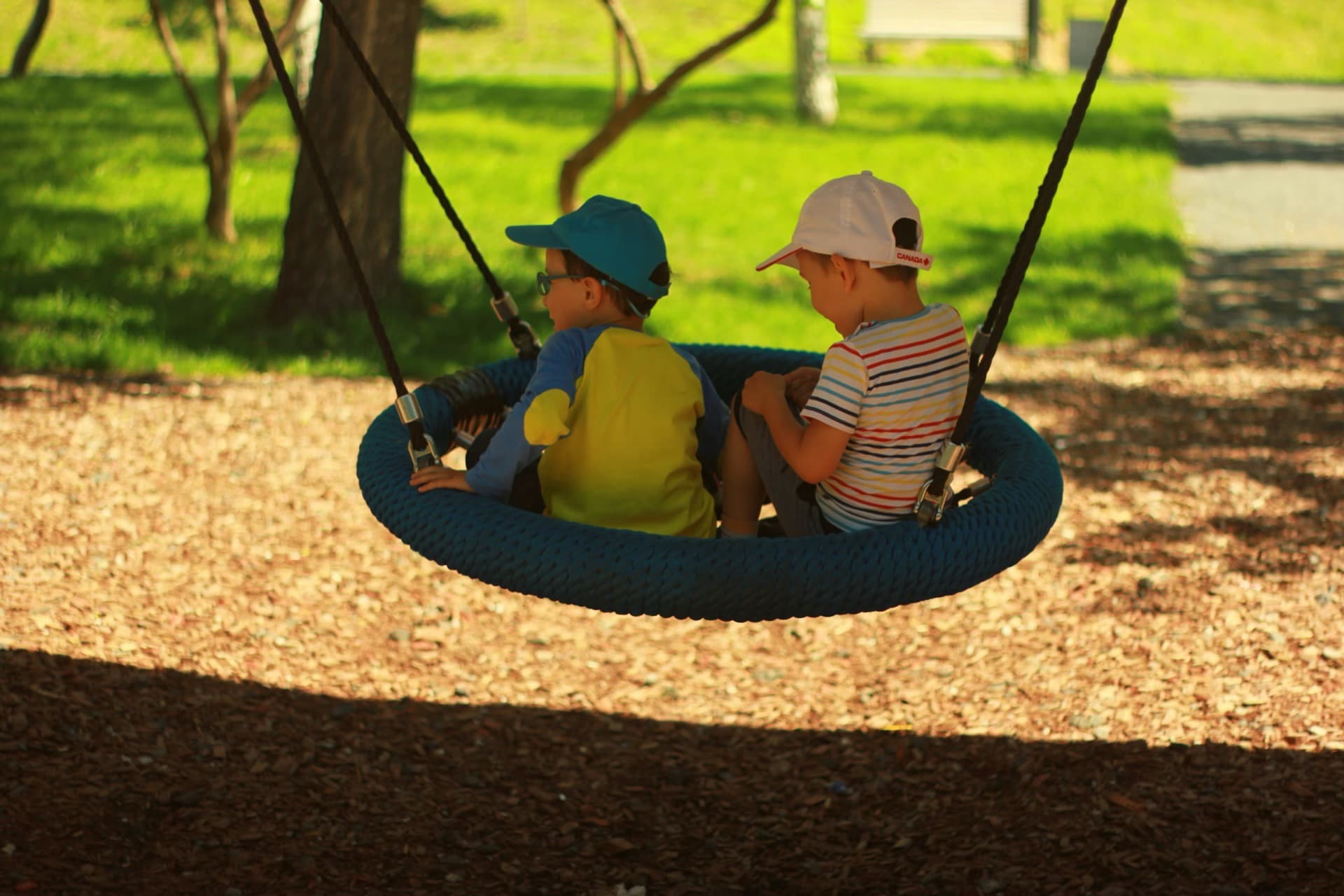 Children playing on a swing in a sunny backyard